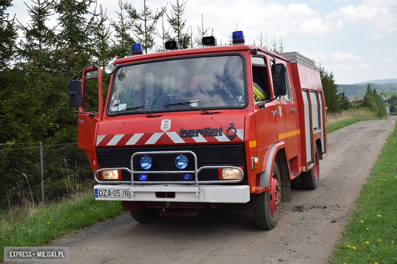 Pożar nieużytków w Laskówce. Na miejscu interweniowały cztery zastępy straży pożarnej
