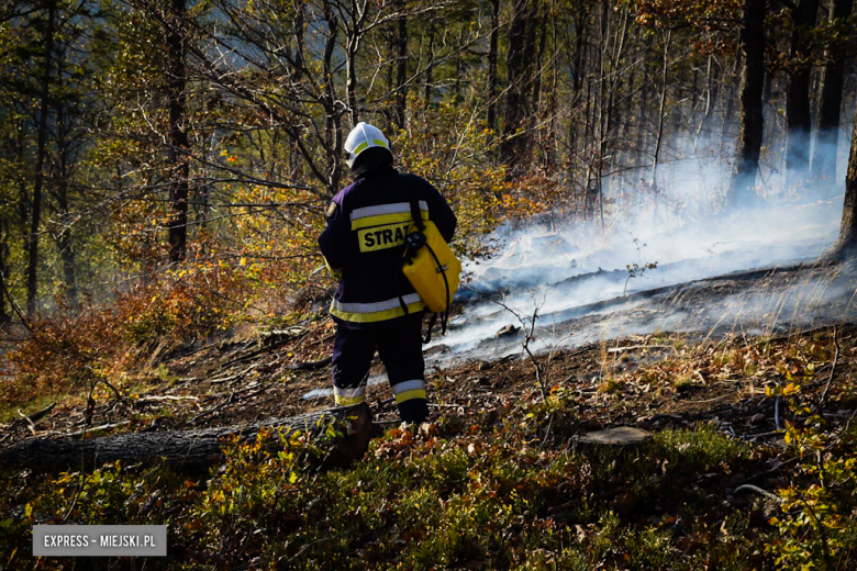 Pożar lasu w Laskówce