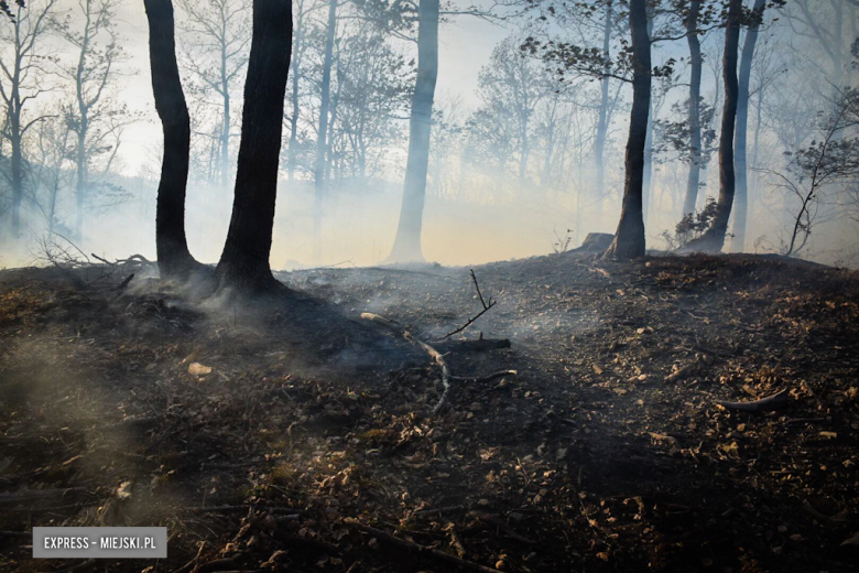 Pożar lasu w Laskówce