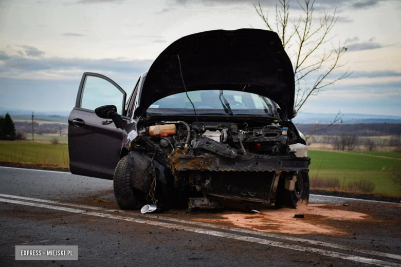 Ford Fiesta wypadł z krajowej 46 między Złotym Stokiem a Mąkolnem [foto]