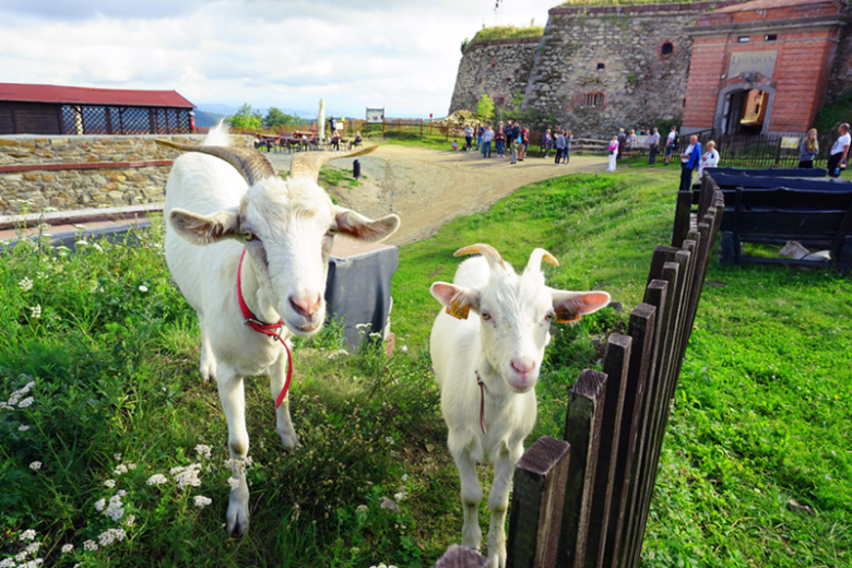 Srebrnogórska twierdza będzie otwarta dla zwiedzających w weekend majowy