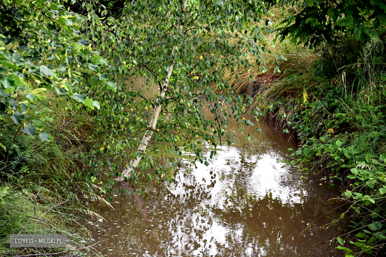 Nysa Kłodzka w Bardzie przekroczyła stan alarmowy. O godz. 17.30 poziom wody w rzece wynosił 257 cm.
