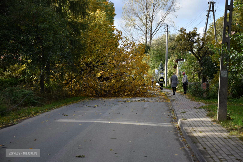 Mocny wiatr powalił drzewo i zablokował drogę w Potworowie (gm. Bardo)