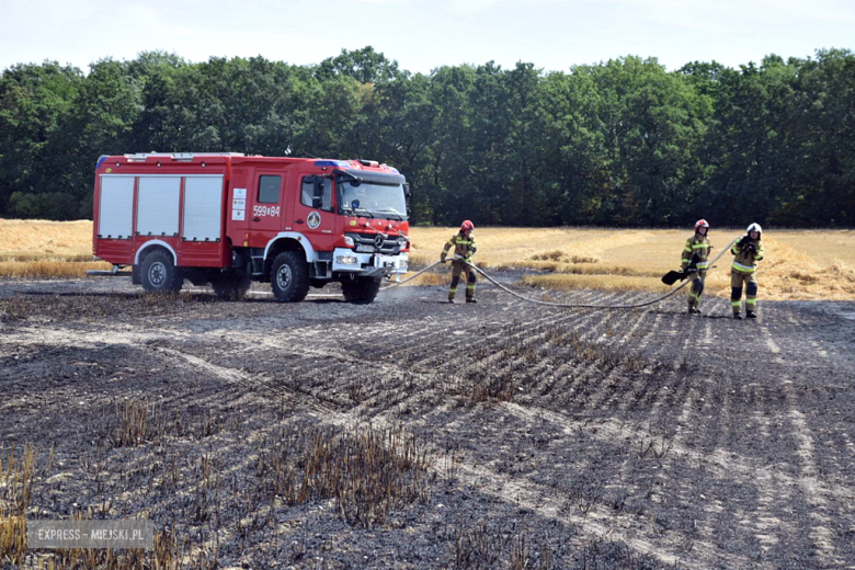 W akcji gaśniczej bierze udział ok. 10 zastępów straży pożarnej