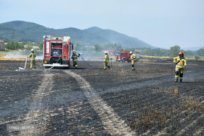 W akcji gaśniczej bierze udział ok. 10 zastępów straży pożarnej