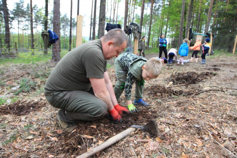 Sadzenie Lasu Pamięci Jana Pawła II przez pracowników Nadleśnictwa Bardo Śląskie