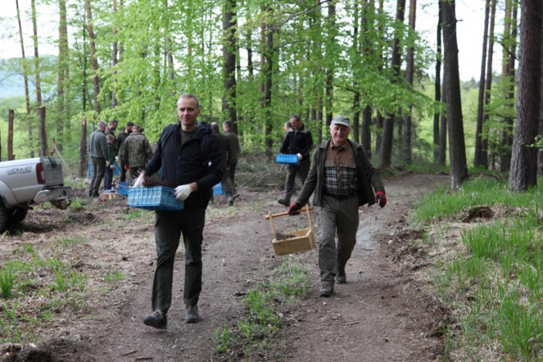 Sadzenie Lasu Pamięci Jana Pawła II przez pracowników Nadleśnictwa Bardo Śląskie