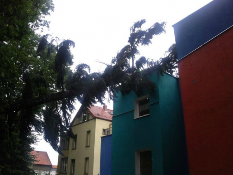 Drzewo spadło na dach przychodni w miejscowości Paczków