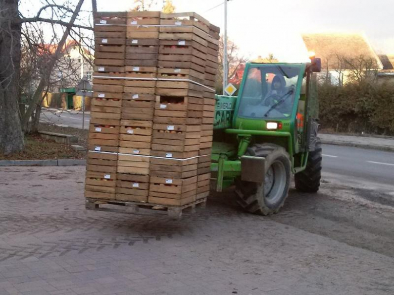 Stoszowicki GOPS pozyskał 20 ton jabłek dla mieszkańców