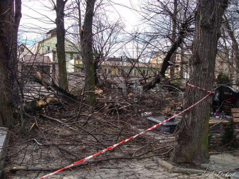 Połamane drzewa na cmentarzu w Ziębicach