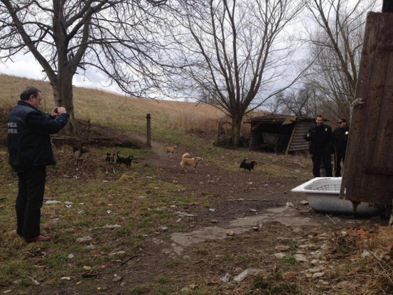 Kilkadziesiąt psów żyjących w fatalnych warunkach - taki widok zastali przedstawiciele TOZ, inspekcji weterynarii oraz ziębickiego urzędu miasta na terenie jednej z wiosek w gminie Ziębice