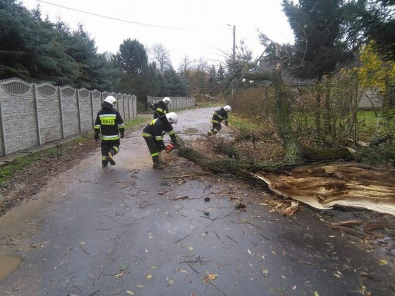 Interwencje strażaków z OSP Lubnów dotyczyły: usunięcia zwalonych drzew z drogi, udrożnienia przejazdu oraz zabezpieczenia pobocza, między innymi w Pomianowie Dolnym