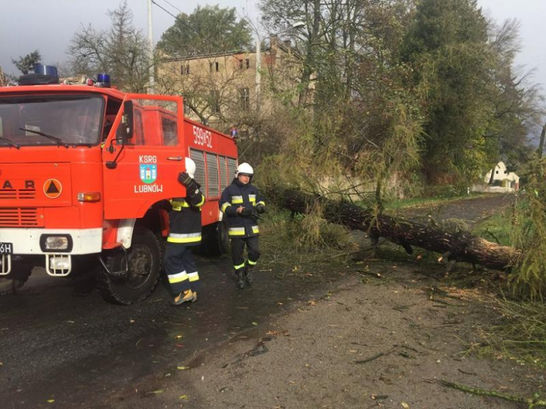 Strażacy-ochotnicy z Lubnowa od rana usuwali zniszczenia na terenie gminy Ziębice oraz Kamieniec Ząbkowicki. Zawalone drzewa, które w kilku miejscach zablokowały drogę nr 385 oraz w miejscowościach Niedźwiedź i Biernacice