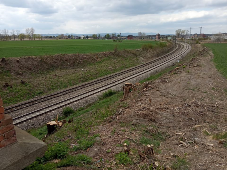 Zmodernizują trasę kolejową Kamieniec Ząbkowicki - Nysa. To w ramach realizacji wielkiego projektu