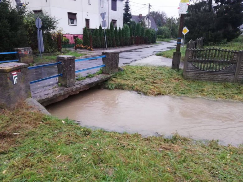 Zalane posesje i lokalne podtopienia na terenie gminy Ziębice po opadach deszczu