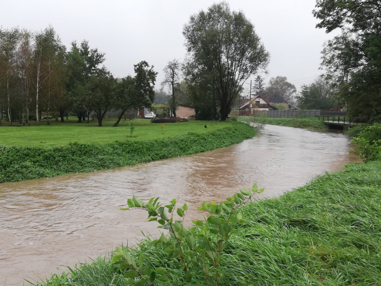 Zalane posesje i lokalne podtopienia na terenie gminy Ziębice po opadach deszczu