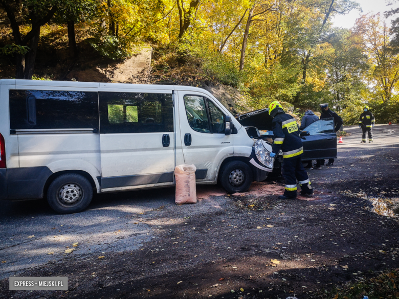 Czołowe zderzenie busa z osobówką za Kamieńcem Ząbkowickim