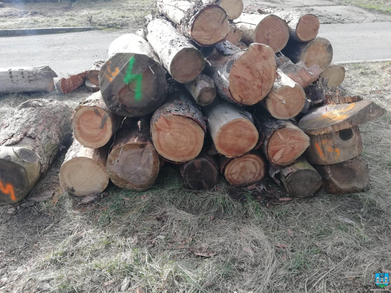 Drewno pozyskane jest z wycinki drzew z terenu Gminy Ząbkowice Śląskie o łącznej ilości ok. 74,27 m3