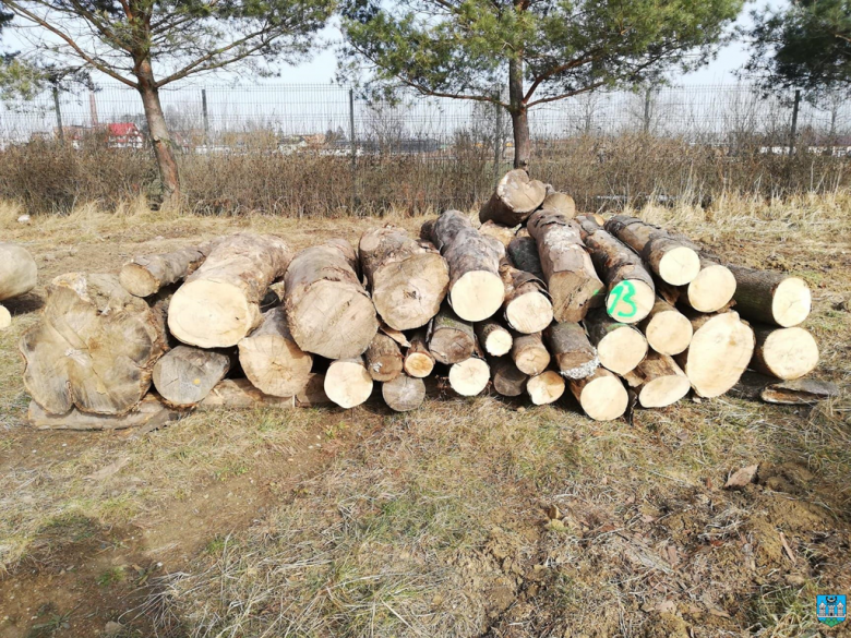 Drewno pozyskane jest z wycinki drzew z terenu Gminy Ząbkowice Śląskie o łącznej ilości ok. 74,27 m3