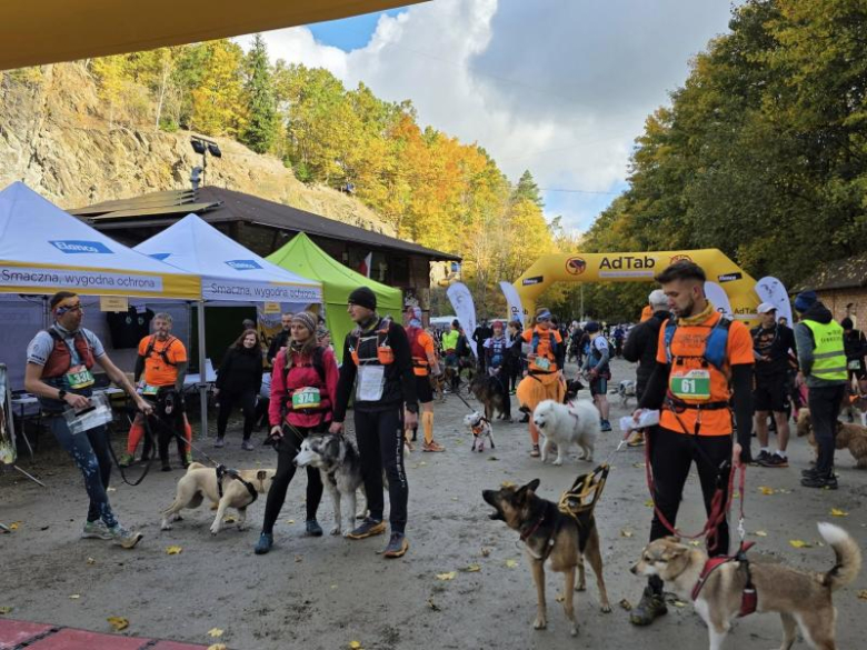 Finał Pucharu Polski w Dogtrekkingu ponownie w Złotym Stoku i Górach Złotych. Znamy wyniki