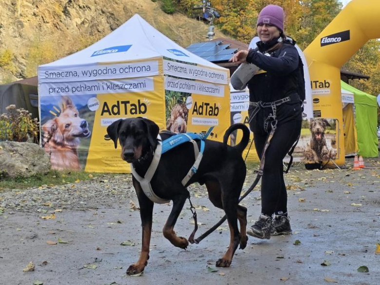 Finał Pucharu Polski w Dogtrekkingu ponownie w Złotym Stoku i Górach Złotych. Znamy wyniki