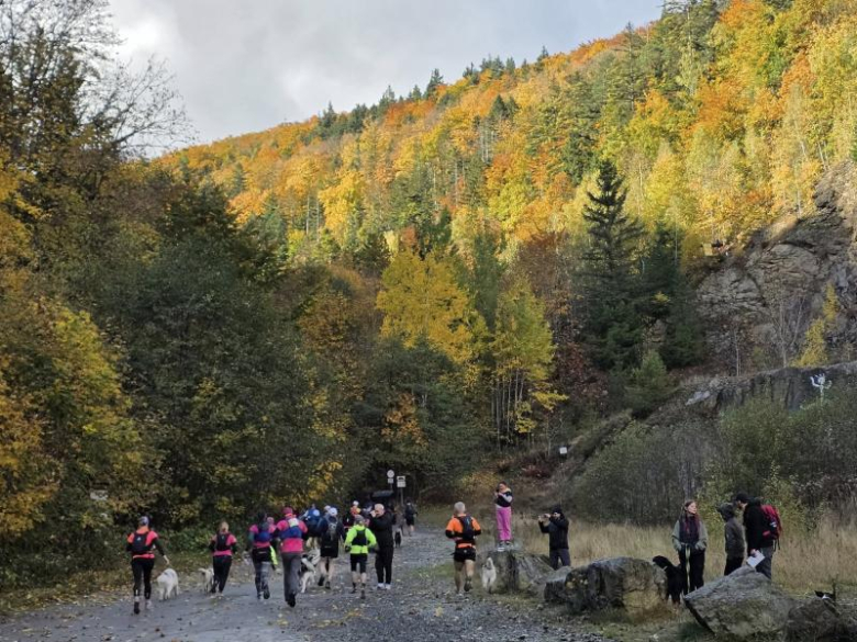 Finał Pucharu Polski w Dogtrekkingu ponownie w Złotym Stoku i Górach Złotych. Znamy wyniki
