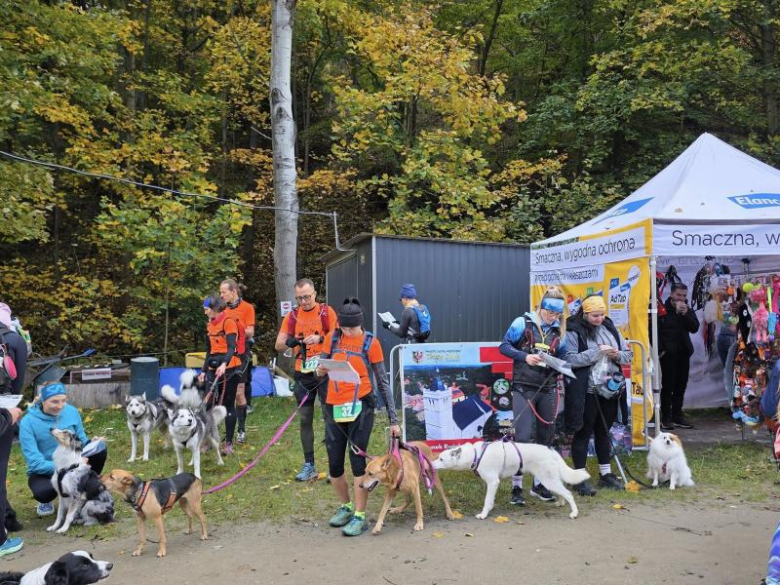 Finał Pucharu Polski w Dogtrekkingu ponownie w Złotym Stoku i Górach Złotych. Znamy wyniki
