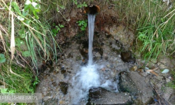 Sanepid ostrzega: woda ze „źródełka” nie nadaje się do spożycia!