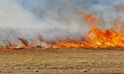 Apel strażaków o niewypalane traw