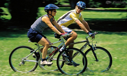 W Kamieńcu przy pałacu wypożyczysz rower