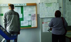 Praca szuka człowieka. Znamy listę zawodów najbardziej poszukiwanych na Dolnym Śląsku i w powiecie