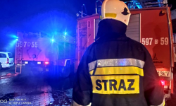 Połamane drzewa, zalane piwnice. Strażacy usuwali skutki ulewy