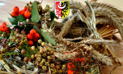 Rusza konkurs „Aktywne Sołectwo 2025”! Zgłoś swoje sołectwo i wygraj 3 tys. zł