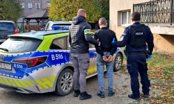 Siedem osób zatrzymanych w ciągu kilku dni