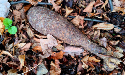 Spacerowicz natknął się w lesie na niewybuch. Interweniowali saperzy