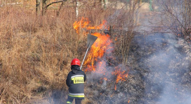 Rokrocznie w marcu dochodzi do licznych pożarów traw. Na nic zdają się apele strażaków i mediów