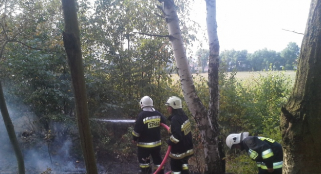 W ostatnich dniach strażacy dwukrotnie gasili pożar w jednym z kamienieckich parków