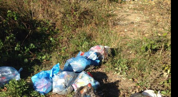 Dzikie wysypiska śmieci nadal stanowią spory problem. W gminie Bardo znajduje się co najmniej kilka miejsc, gdzie mieszańcy regularnie pozostawiają swoje odpady