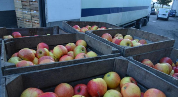 Dostawa świeżych jabłek dla mieszkańców ząbkowickiej gminy