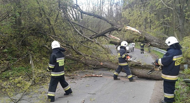 Powalone drzewo na drodze powiatowej na odcinku Laski - Ożary