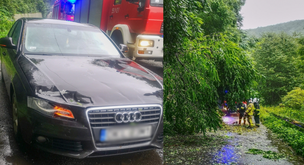 Na krajowej ósemce w Dębowinie konar drzewa uszkodził przejeżdżające auto. Wczoraj podobne zdarzenie miało miejsce w Bardzie