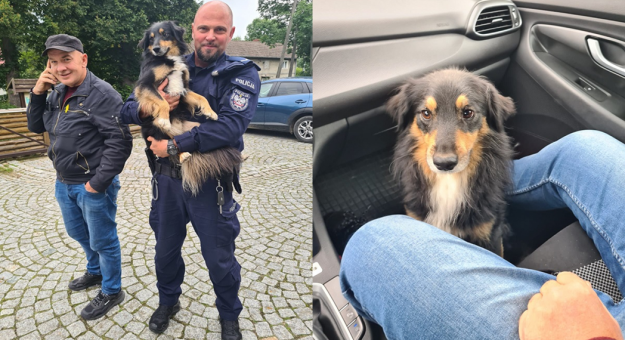 Policjanci z Kamieńca Ząbkowickiego kontynuują pomaganie porzuconym zwierzętom zgodnie z hasłem „Kochamy 4 Łapy”. Celem akcji jest zapobieganie bezdomności i przemocy wobec zwierząt