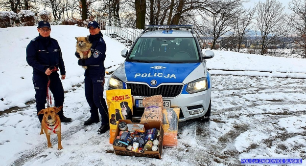 Policjanci z Ząbkowic Śląskich organizują mikołajkową zbiórkę dla psów i kotów ze schroniska