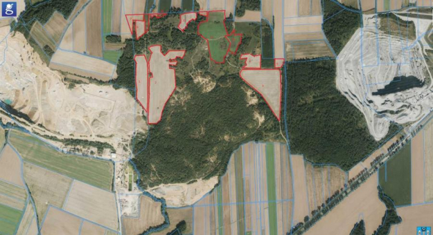 Zdjęcie satelitarne terenów rolniczych wykazanych do dzierżawy