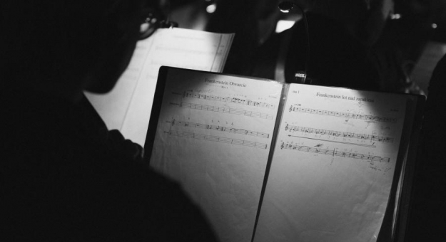 Ziębicka Orkiestra Mandolinistów i goście wystąpili „u siebie”