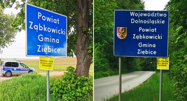 Na drogach wjazdowych na teren powiatu ząbkowickiego, przez samorządy gminne zostały umieszczone tablice informacyjne: „Grypa ptaków strefa objęta zakażeniem”