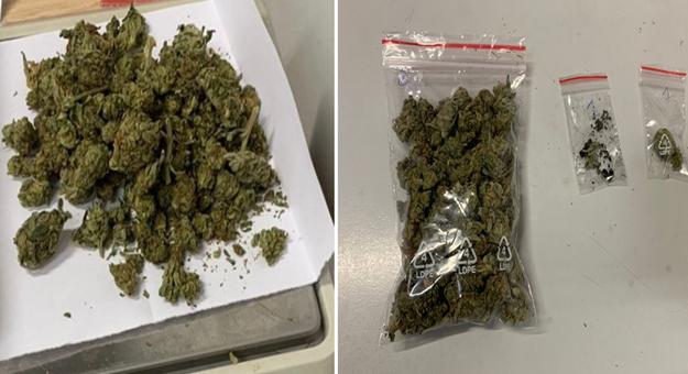 Marihuana znaleziona przy zatrzymanych