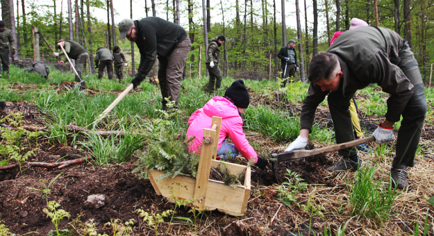 W leśnictwie Tarnawa zasadzono 100 drzew z okazji obchodów 100-lecia Lasów Państwowych