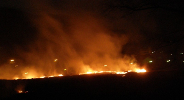 Pożar nieużytków w Bardzie