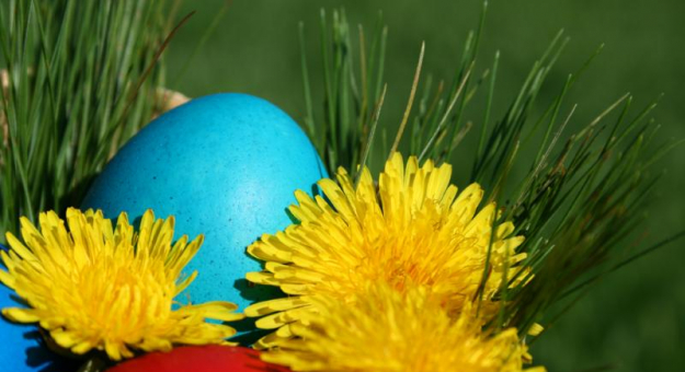 Życzenia Wielkanocne składa ZOK!